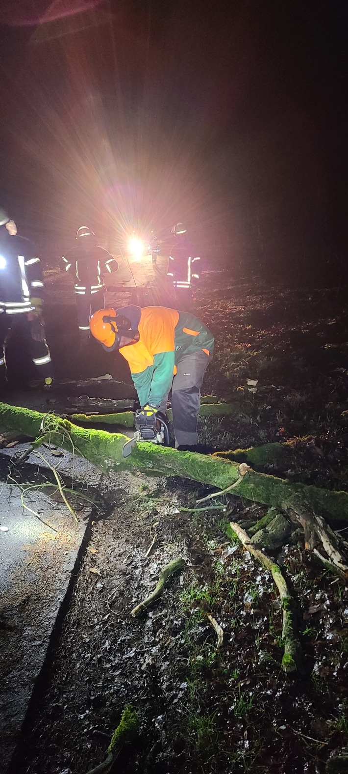 Sturmchaos in Schermbeck: Feuerwehr befreit Straße von umgestürzten Bäumen