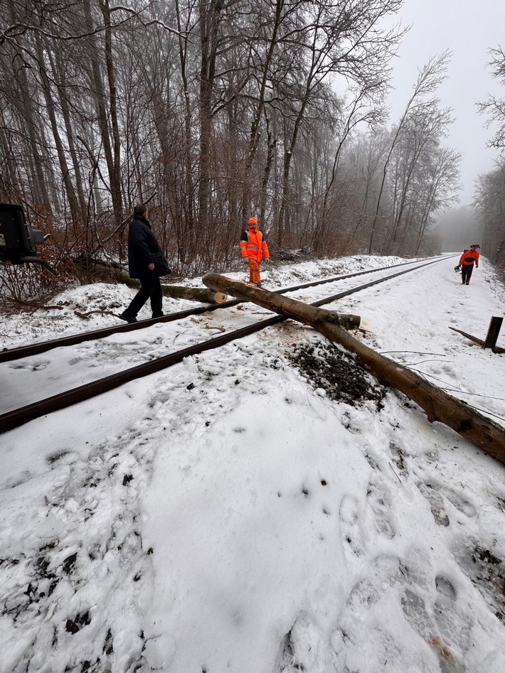 Bahnhofskollaps verhindert: Feuerwehr rettet Zug vor umgestürztem Baum!