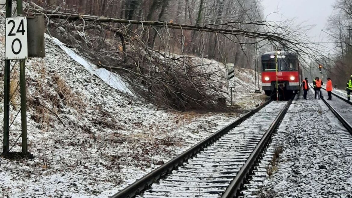 Baum stürzt auf Oberleitung: S-Bahn zwischen FFB und München ausgebremst!