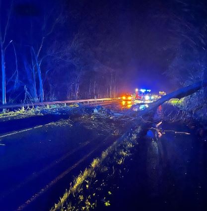 Baumsturz in Xanten: Pkw-Fahrer leicht verletzt, Straße gesperrt!