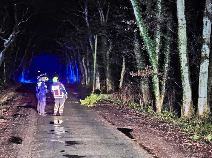 Dramatischer Einsatz: Feuerwehr Hünxe rettet Straße nach Baumsturz!