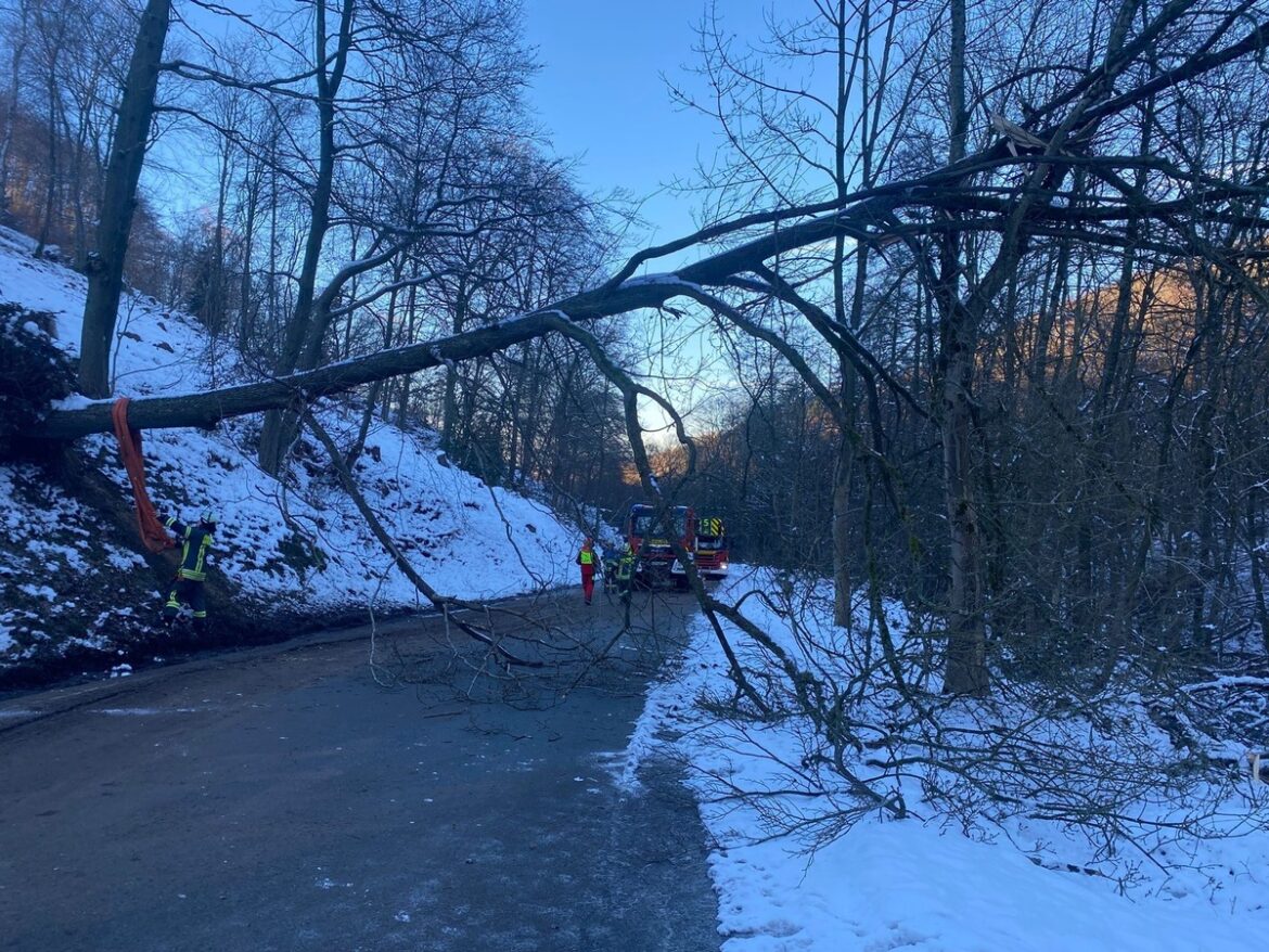 Einsatzmarathon: Feuerwehr Gevelsberg kämpft gegen Baum und Feuer!