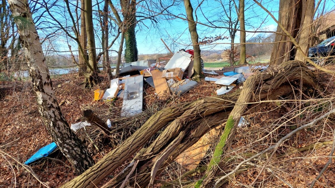 Müllskandal auf Landesstraße 550: Verursacher geschnappt!