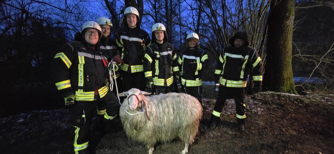 Mutiger Einsatz: Schaf aus Tümpel gerettet – Feuerwehr Breckerfeld hilft!