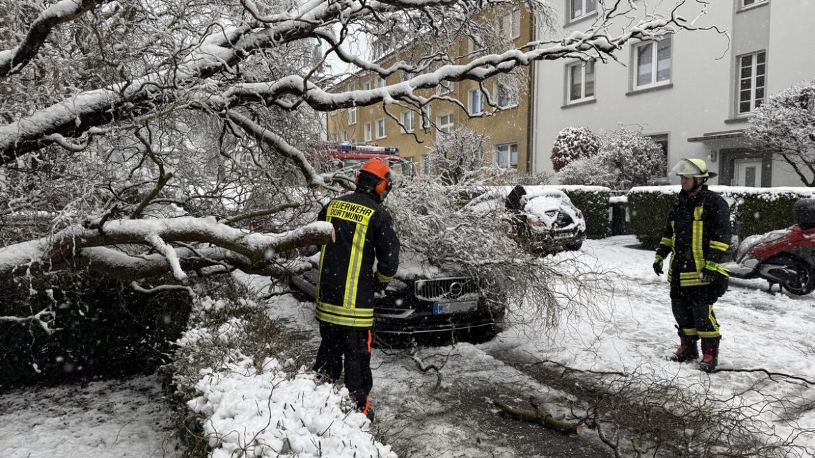 Schneekatastrophe in Dortmund: Bäume fallen auf Autos und Straßen!