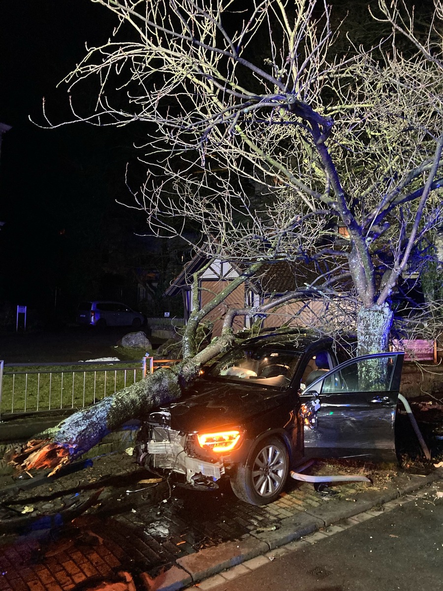 Schwerer Verkehrsunfall: Baum landet nach Crash auf Mercedes!