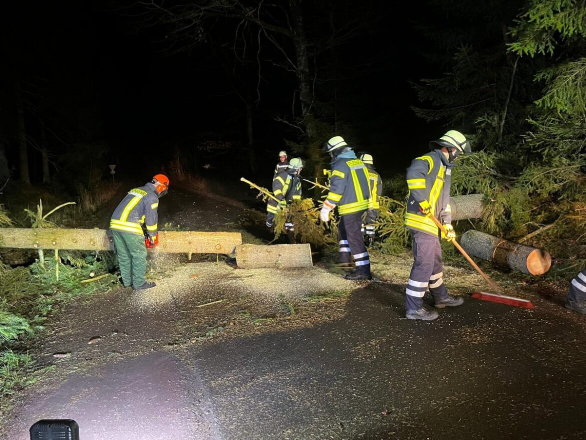 Stürmische Nacht in Lüchow-Dannenberg: Feuerwehren im Dauereinsatz!