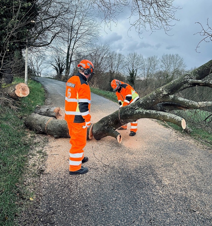 Sturm wütet in Solingen: Feuerwehr kämpft gegen umgestürzte Bäume!