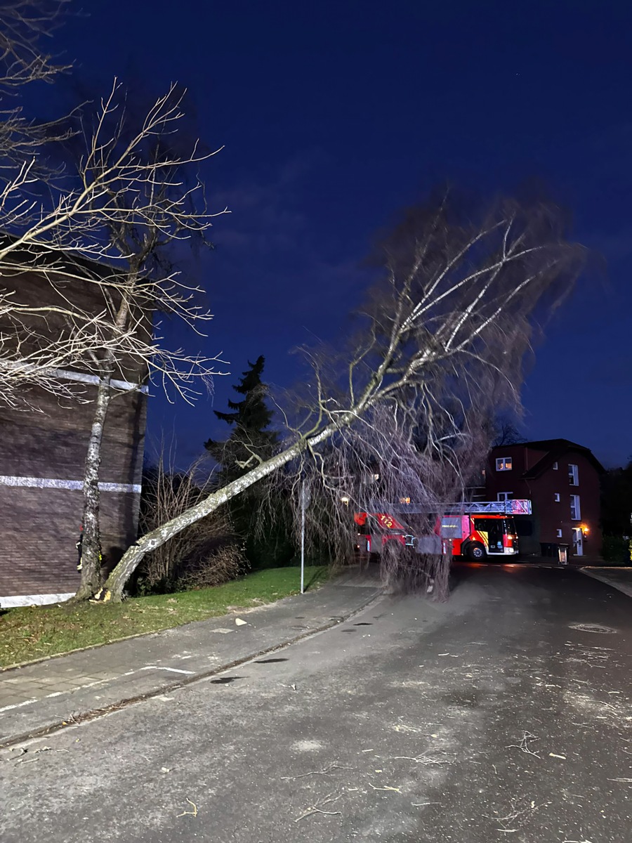 Sturmchaos in Bergheim: Feuerwehr bewältigt sieben Einsätze in kurzer Zeit!