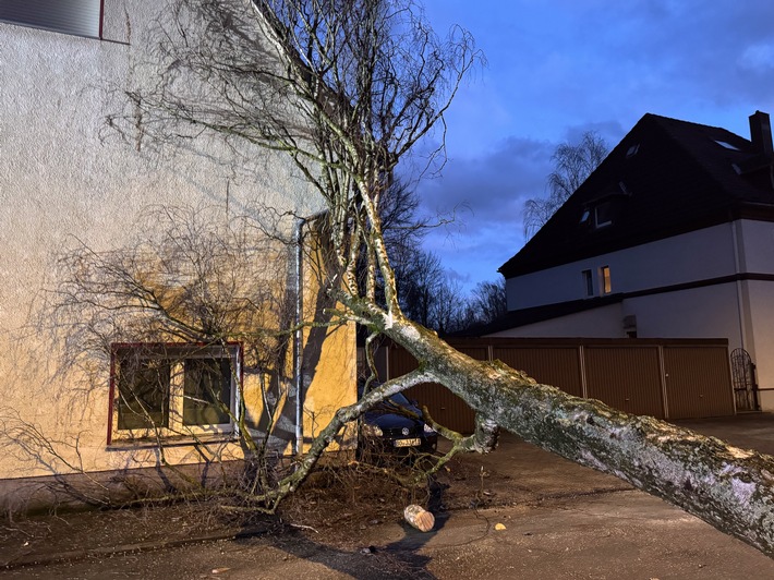 Sturmchaos in Bochum: Feuerwehr kämpft gegen umgestürzte Bäume!