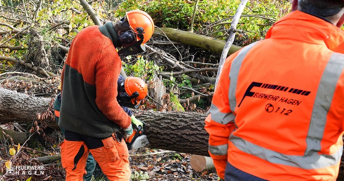 Sturmchaos in Hagen: Feuerwehr kämpft gegen umgestürzte Bäume!