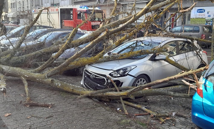 Sturmchaos in Moers: Feuerwehr räumt umgestürzte Bäume und Äste!