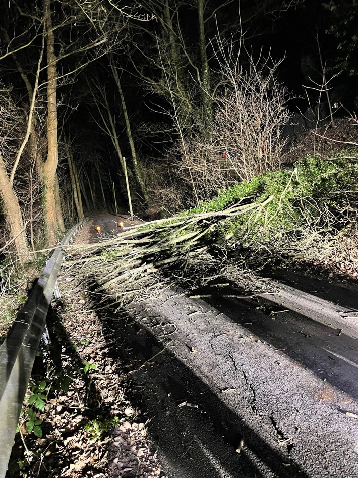 Sturmchaos in Schermbeck: Baum blockiert Fahrbahn – Feuerwehr im Einsatz!