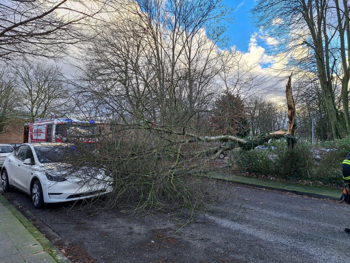 Sturmtief trifft Neuss: Feuerwehr mit 26 Einsätzen im Dauereinsatz!