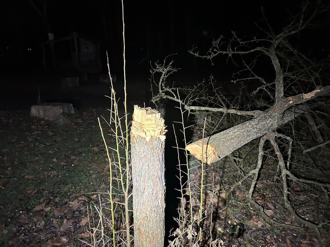 Vandalismus auf Spielplatz: Fünf Bäume mit Axt und Säge verwüstet!