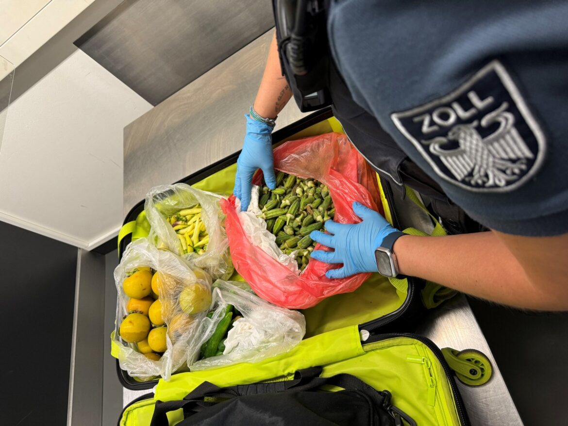 Zoll stoppt Reisende: 69 Kilogramm exotisches Obst am Flughafen Stuttgart!