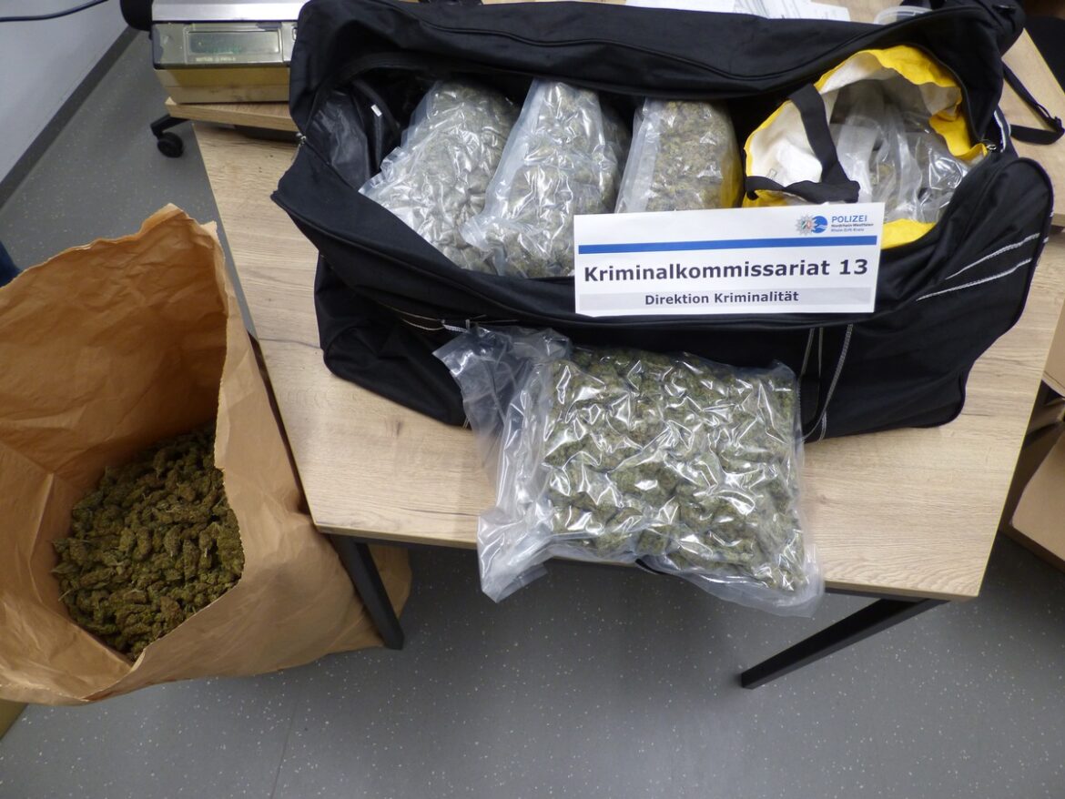 Drogenrazzia in Rhein-Erft: Polizei sichert 13 kg Cannabis und Datenträger!