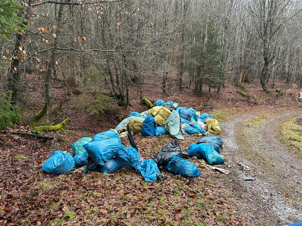 Illegale Müllentsorgung im Wald: Polizei sucht Zeugen in Kerschenbach!