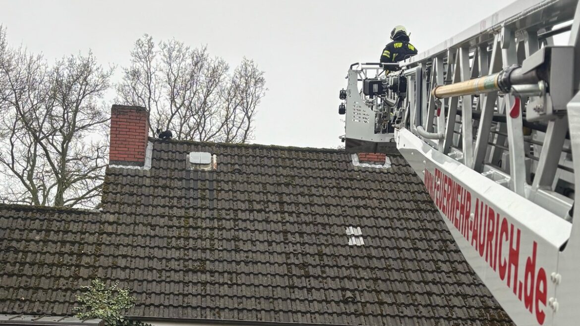 Katze auf Dach: Feuerwehr Aurich scheitert beim Rettungsversuch!