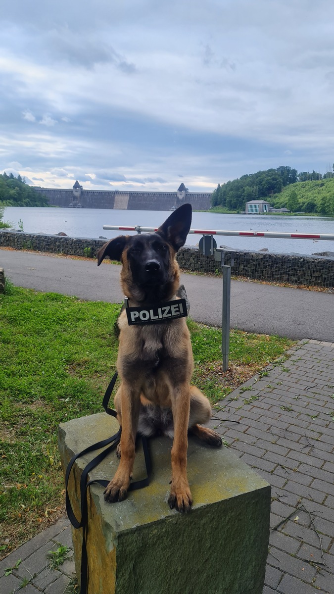 Luna bei der Polizei: Die neue K9-Dame sorgt für Sicherheit im Kreis Soest!