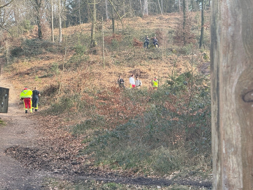 Mountainbiker schwer verletzt: Dramatische Rettung im Reichswald!