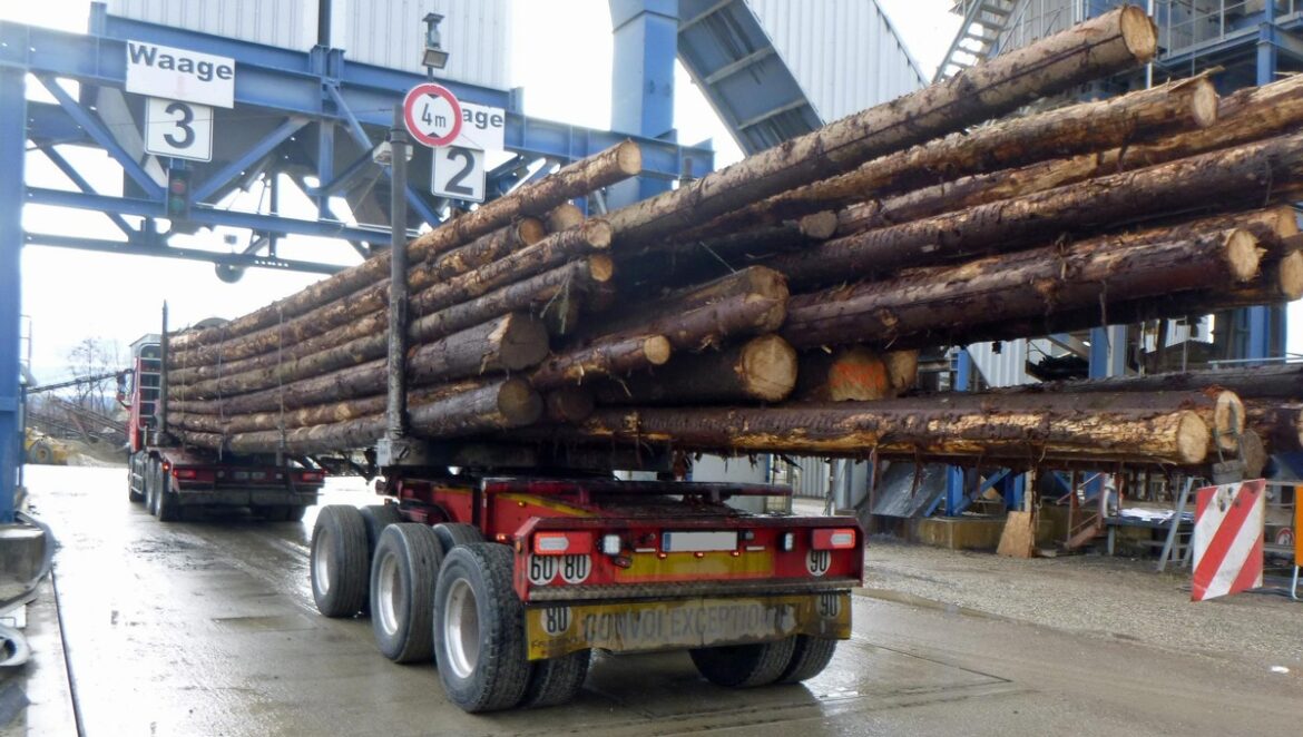 Überladener Holztransporter in Endingen: Fahrer muss Hälfte abladen!