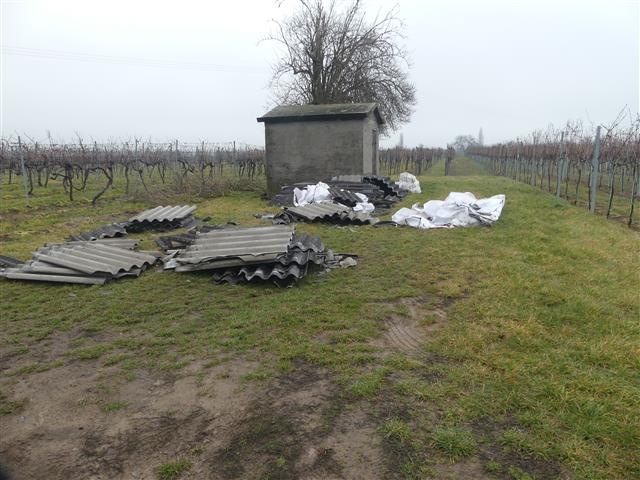 Umweltverbrechen in Kirrweiler: Asbestplatten im Weinberg illegal entsorgt!