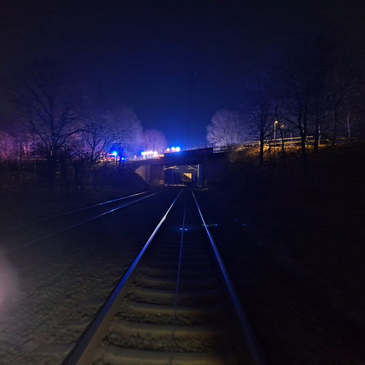 Drama in Heeslingen: Schuppen brennt, Hühner gerettet!