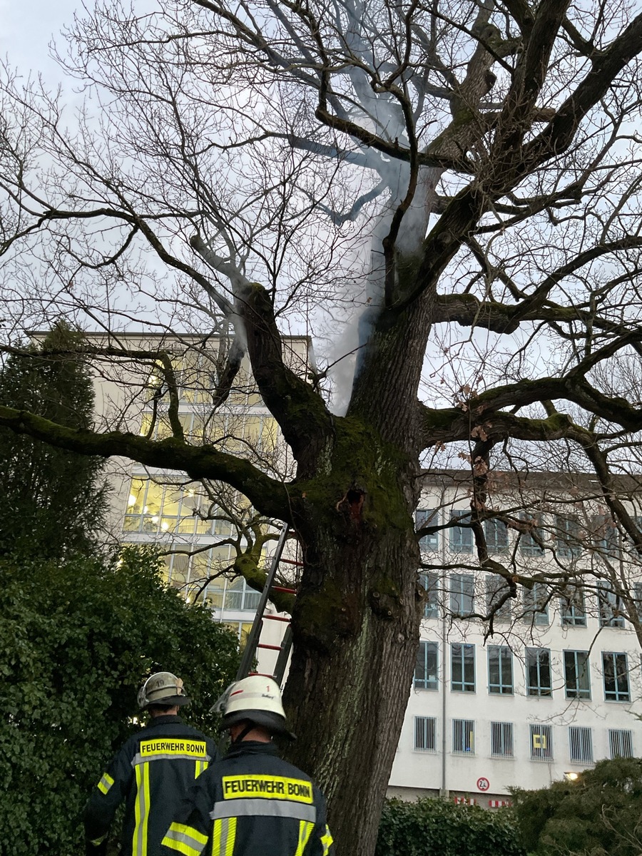 Feuerwehr Bonn: Dramatischer Baumbrand – Glutnester blitzschnell gelöscht!